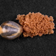The female deer tick (Ixodes scapularis), seen here laying eggs, can spread several diseases, including the Powassan virus.